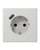 Розетка с накладкой Jung LS LS1520-18ALG с USB светло-серый