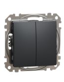 Кнопочный двухклавишный выключатель Schneider Electric Sedna Design & Elements черный SDD114118
