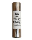 Плавкий предохранитель TNSy ЗПц 10х38 gG 25A (TNSy5506462)