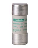 Предохранитель Schneider Electric DF2FA125 22х58 AM 125