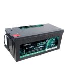 Аккумулятор LiFePO4 EverExceed LDP 12-200 (12.8В/200AH) + Bluetooth