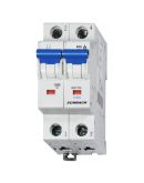 Автоматический выключатель Schrack BM017250 10кА 50А 2P х-ка C