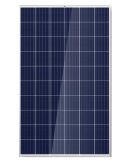 Солнечная панель Amerisolar AS-6P30-270W