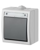 Одноклавишный выключатель Elektro-Plast Aquant 1201-10 (серый)