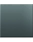 Клавиша 2М сменная черная TM12SB-B, ТЕМ