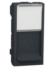Накладка для RJ45 розетки Schneider Electric NU941054 с полем для надписи 1М (антрацит)