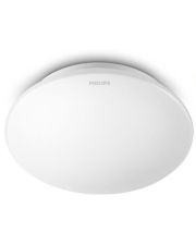 Светильник Philips 915004478401 33362 LED 16Вт 6500K White