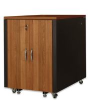 Шафа Digitus DN-1917U-SO-W 19" 17U 750x1130 SOUND proof RAL 9005 із вставкою під горіх (чорний)