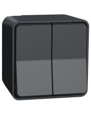 Накладной проходной 2-клавишный переключатель Schneider Electric MUR35022 (сх.6+6) IP55 (черный)