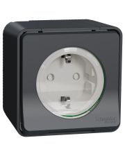 Накладная розетка Schneider Electric MUR36034 с з/к и шторками IP55 (черный)