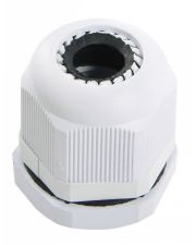 Сальник Аско-Укрем PG21 (A0150050007)