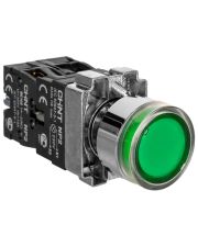 Кнопка Chint NP2-BW3365 230В AC/DC IP40 1NO+1NC зеленая (574365)