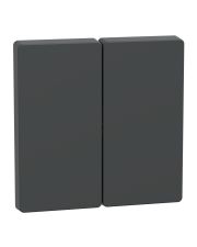 Подвійна клавіша Schneider Electric D-Life MTN3400-6034 антрацит