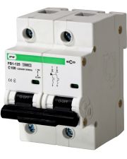 Электро-автомат Promfactor ECO FB1-125 2P C 100A 10кА (FB1C2100)