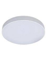 Круглий настінно-стельовий світильник Maxus Functional Ceiling light 50 Вт 3000/4100/6500 (1-MFCL-5041-01-C)
