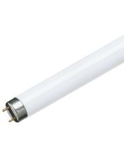 Лінійна лампа Philips MASTER TL-D Super 80 36Вт 1SL/25