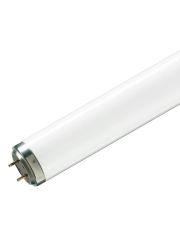 Лінійна лампа Philips TL 80Вт/10-R SLV/25