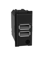 Механизм зарядного устройства USB 2 разъем тип - A/A 15 Вт/3000мА 1 модуль Bticino Living Now K4191AA