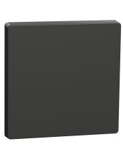 Одинарна клавіша Schneider Electric D-Life антрацит (MEG3300-6034)