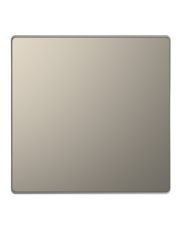 Одинарна клавіша Schneider Electric D-Life нікель (MEG3300-6050)