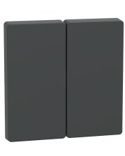 Подвійна клавіша Schneider Electric D-Life антрацит (MEG3400-6034)