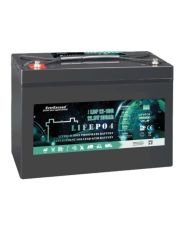 Акумулятор LiFePO4 EverExceed LDP 12-100 (12.8В/100AH)