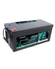 Акумулятор LiFePO4 EverExceed LDP 12-200 (12.8В/200AH)