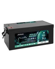 Акумулятор LiFePO4 EverExceed LDP 24-100 (25.6В/100AH)