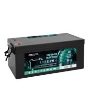 Акумулятор LiFePO4 EverExceed LDP 24-120 (25.6В/120AH)