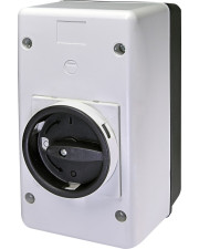 Изолированный корпус с поворотной черно-серой рукояткой ETI MPEE55G для MPE 25 (4648032)