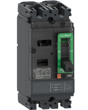 Автоматический выключатель Schneider Electric C16F2TM125 COMPACT NSX160F 18kA 2P 125A с расцепителем TMD AC-DC