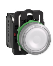 Кнопка Schneider Electric XB5AW31B5 24В белая