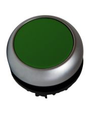 Зеленая плоская кнопка Schrack MM216596 без фиксации