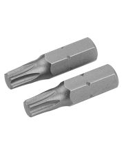 Биты Tolsen Torx S2 10х25мм (2шт)