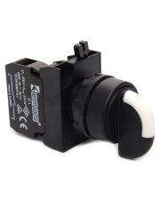 Переключатель EMAS CP100S20 0-1 с фиксацией (1НО)