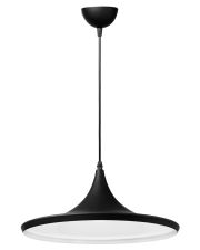 Металевий підвісний світильник Delux WC-0907-01 (90007680)