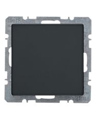 Заглушка Berker Q.x 6710096086 (антрацит)