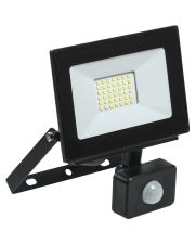 Светодиодный прожектор IEK СДО 06-30Д с ДД IP54