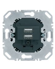 Подвійна USB розетка Berker 260205 (антрацит)