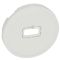 Накладка USB розетки Legrand Celiane (068253) (белый)