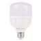 LED лампа Lectris 1-LC-1601 T80 23Вт 6500K 220В E27