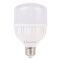 LED лампа Lectris 1-LC-1604 T140 50Вт 6500K 220В E27