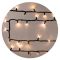 LED гирлянда Delux EN STRING 100LED (90012978) 10м 20 мигающих диодов IP44 (теплый белый свет) черный шнур