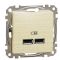 USB розетка Schneider Electric Sedna Design & Elements A+A 2,1A береза SDD180401