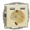 Розетка Schneider Electric Sedna Design & Elements с заземлением та 2 USB тип А береза SDD180052