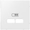 USB-накладка розетки Schneider Electric Merten System M полярно білий (MEG4367-0319)