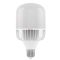 Лампочка Electrum 95Вт E40 6500К