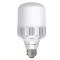 LED лампа High power 40Вт Eurolamp 6500К, Е40