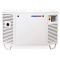 Газовий комбінований генератор ESE 808 GF, Endress 8кВт
