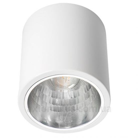 Светильник белого цвета Kanlux NIKOR DLP-60-W 7210 фото